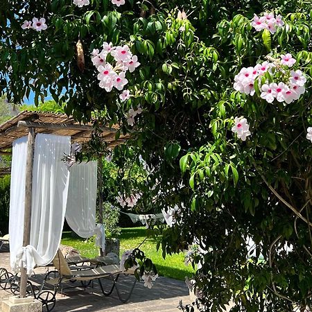 Masseria Casina Montana กอริยิอาโน ดอตรานโต ภายนอก รูปภาพ