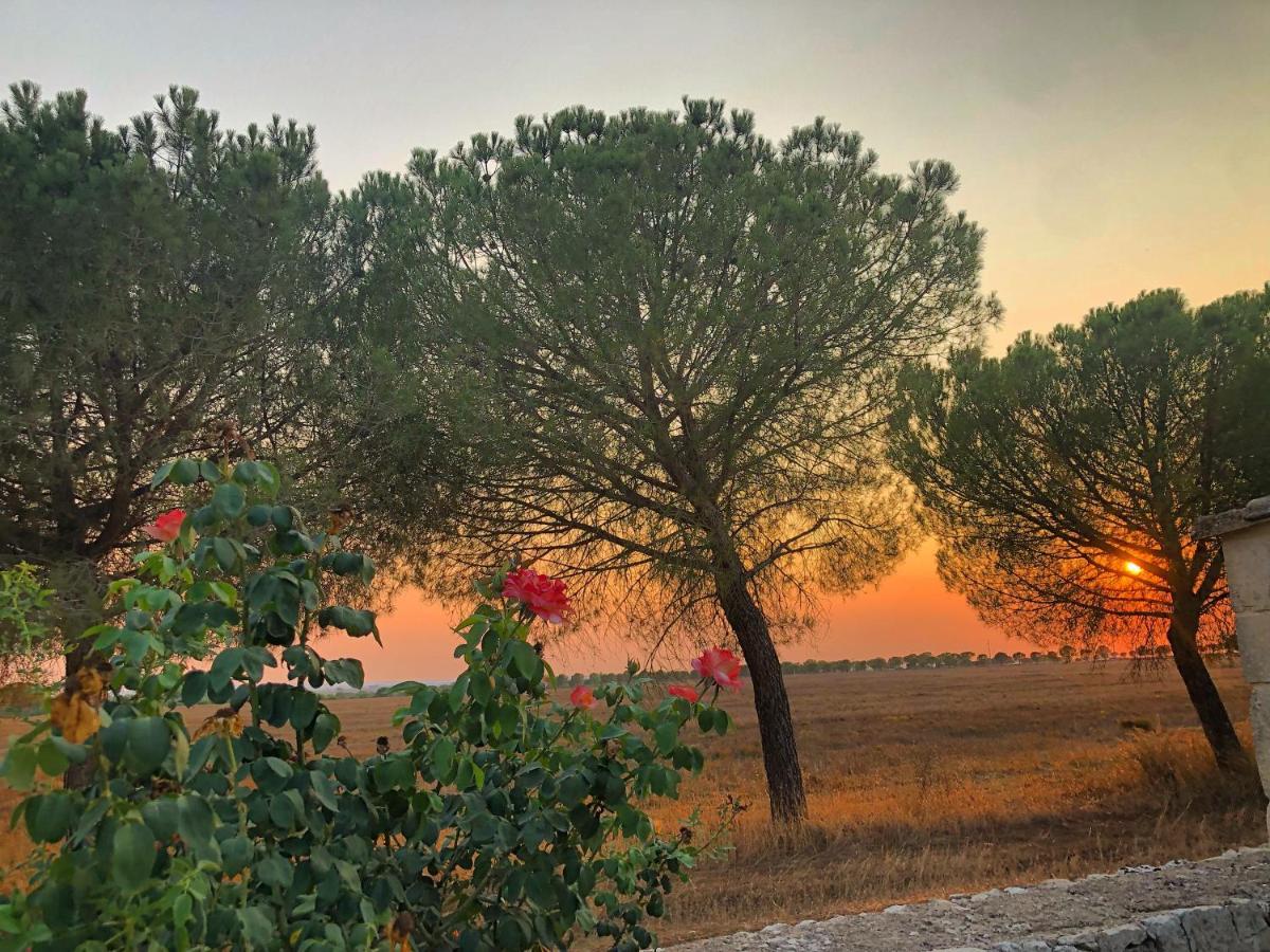 Masseria Casina Montana กอริยิอาโน ดอตรานโต ภายนอก รูปภาพ