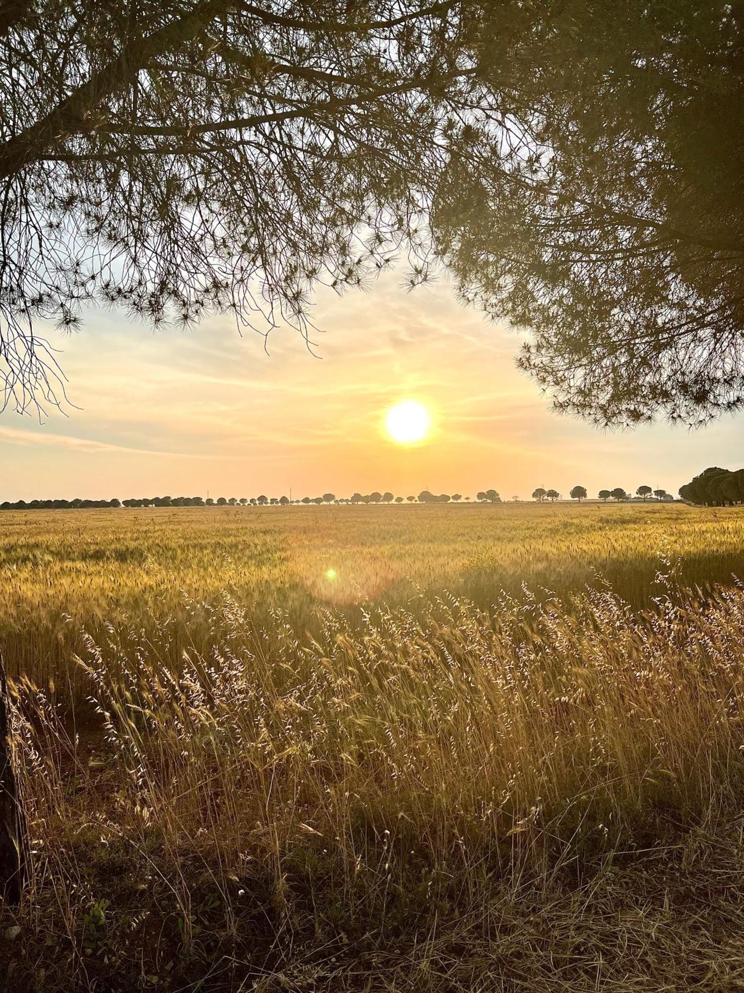 Masseria Casina Montana กอริยิอาโน ดอตรานโต ภายนอก รูปภาพ