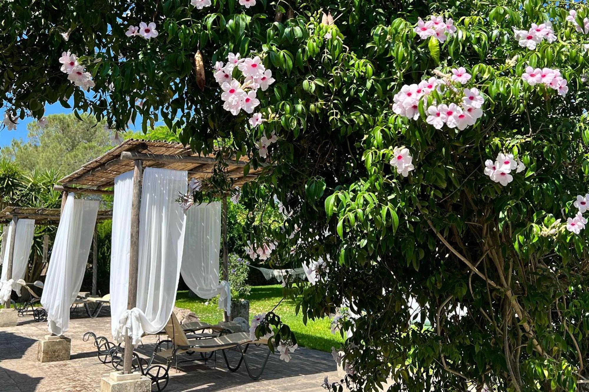 Masseria Casina Montana กอริยิอาโน ดอตรานโต ภายนอก รูปภาพ
